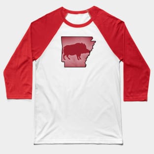 Radiating Hog Baseball T-Shirt